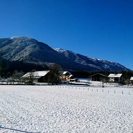 Schoba Typ B 아파트