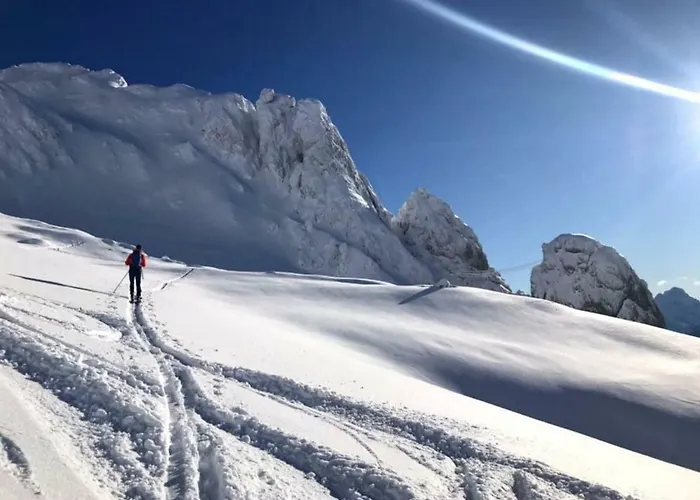 Апартаменты Schoba Typ B Oberdobernitzen